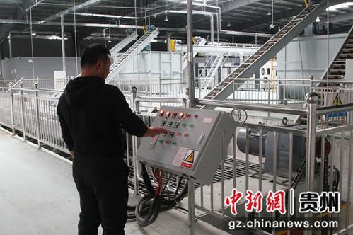 探秘中國首座白參菌全智能化工廠 自主知識產(chǎn)權(quán)引領(lǐng)食用菌產(chǎn)業(yè)革命